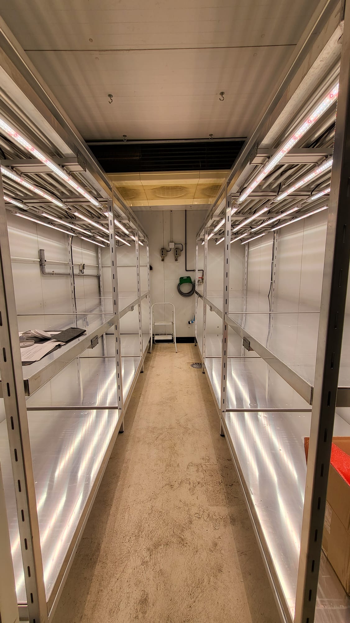 Rayonnages et éclairages installés dans une chambre de culture