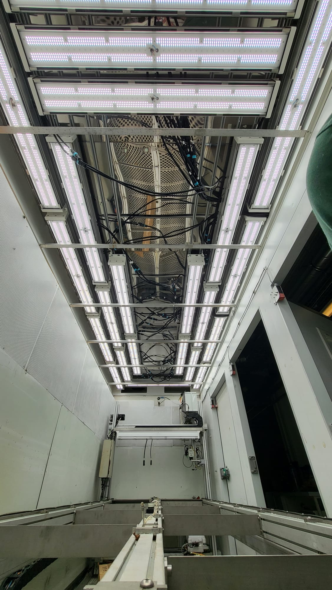 Dispositif d’éclairage LED dans une chambre de phénotypage