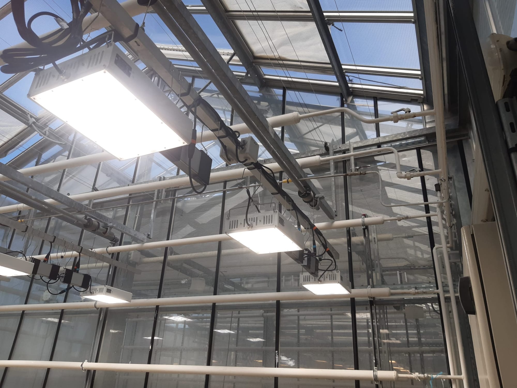 Éclairages LED